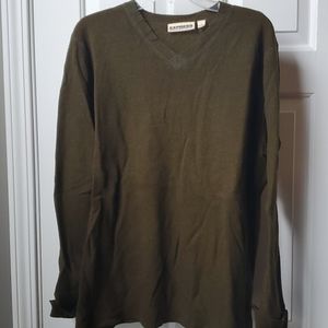 Express V-neck sweater